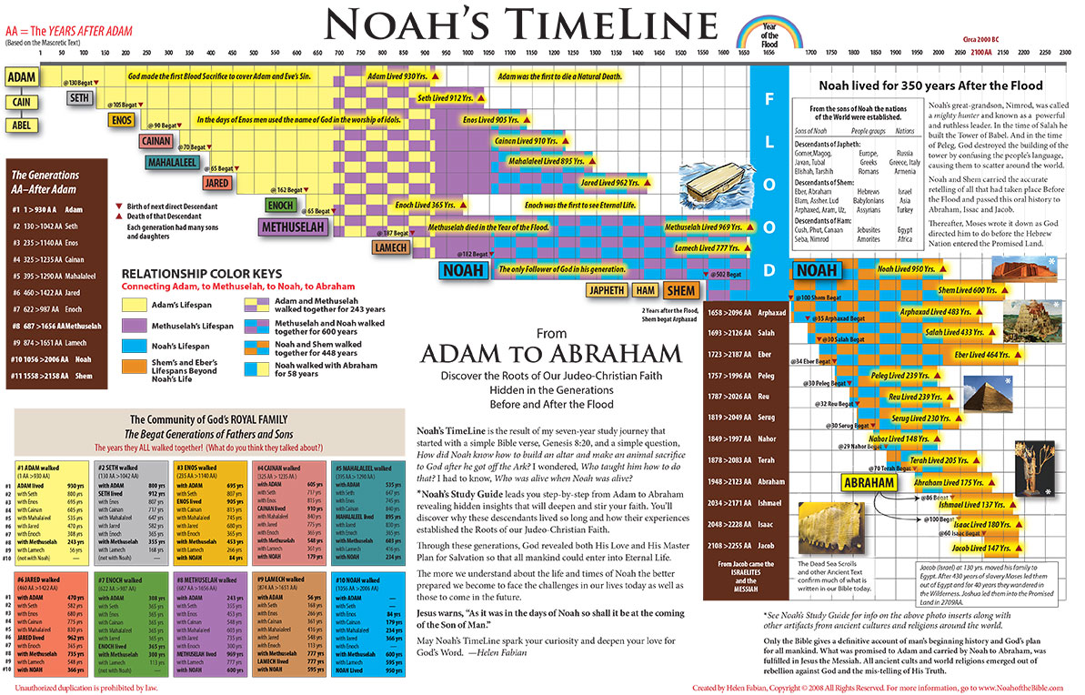 Welcome to Noah of The Bible